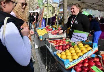 Fête de la Pomme_Pélussin