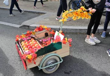 Fête de la Pomme_Pélussin