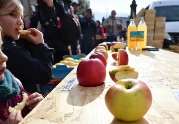 Fête de la Pomme_Pélussin