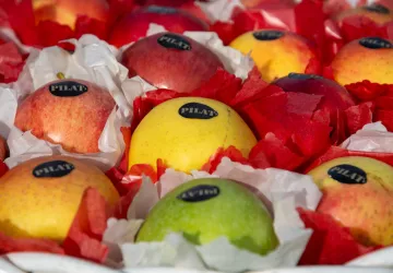 Fête de la Pomme_Pélussin