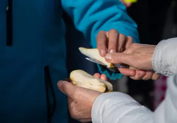 Fête de la Pomme_Pélussin