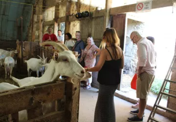 Excursion dans le vignoble de Condrieu au départ de Vienne