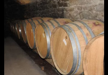 Excursion dans le vignoble de Condrieu au départ de Vienne