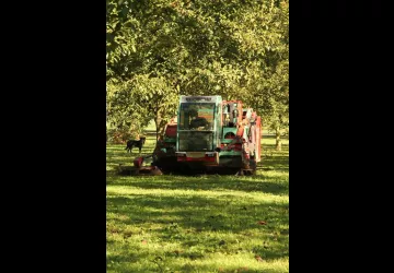 Le temps de la récolte