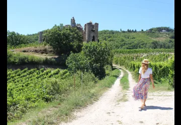 Les accords Mai & Vins