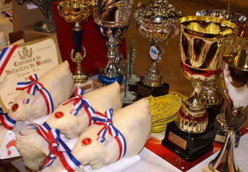 Concours de volailles de Bresse