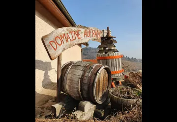 Domaine Aufranc à Fleurie