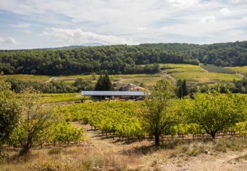 Vue du domaine