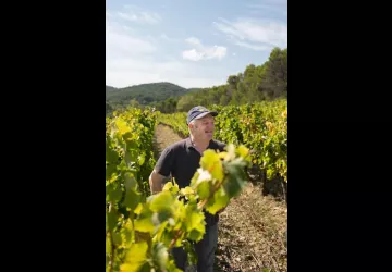 Vins Laurent Bellion_Séguret
