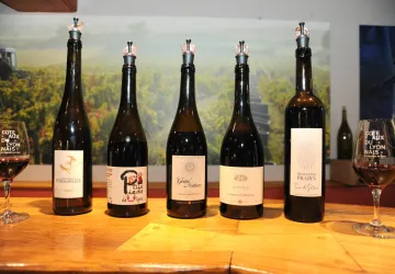 Domaine de Prapin_Taluyers