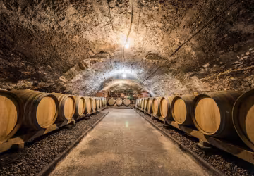 Cave_ Domaine du clos Saint-Marc_Taluyers