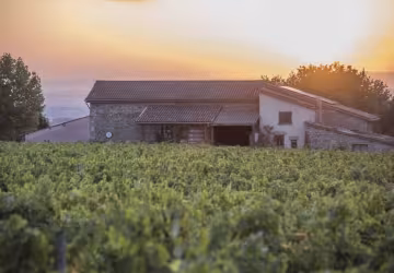 Le caveau_ Domaine du clos Saint-Marc_Taluyers