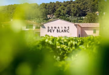 Domaine Pey Blanc