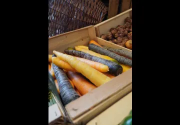 Pressoirs de Provence_Saint-Andiol