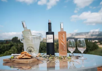 Domaine Terre de Mistral