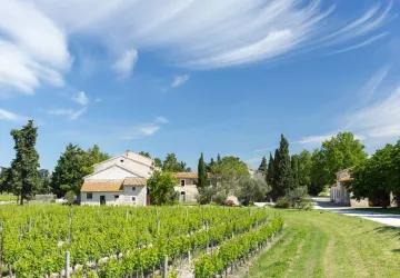 Domaine Mas de Rey Arles