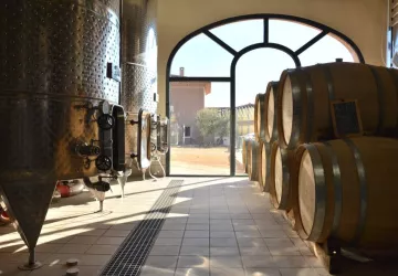 Château Henri Bonnaud