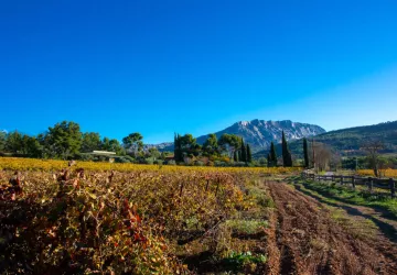 Château Henri Bonnaud