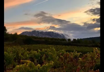 Château Henri Bonnaud