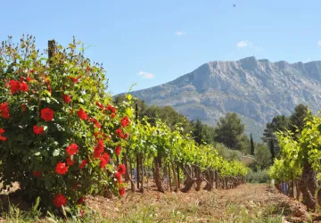 Château Henri Bonnaud_Le Tholonet