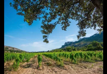 Domaine du Vallon des GlaugesDomaine du Vallon des Glauges