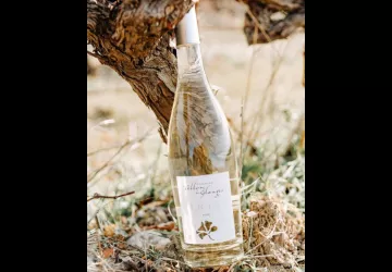 Domaine du Vallon des Glauges