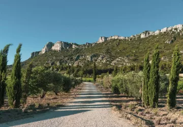 Domaine Vallon des Glauges