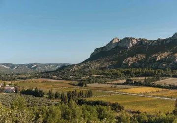 Domaine Vallon des Glauges