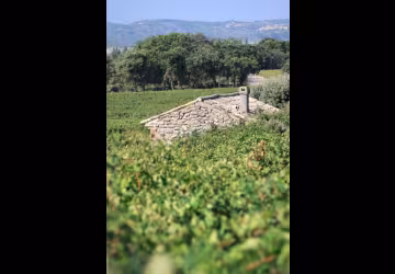 Domaine des Béates_Lambesc