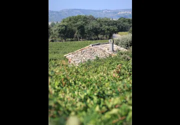 Domaine des Béates_Lambesc
