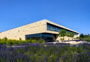 La fabrique des calissons - Confiserie du Roy René