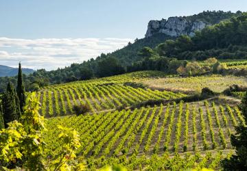 Château Barbanau_Roquefort-la-Bédoule