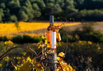 Château Barbanau_Roquefort-la-Bédoule