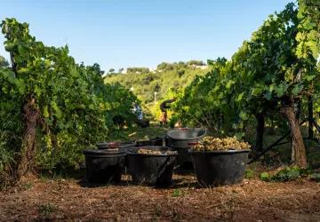 Château Barbanau_Roquefort-la-Bédoule