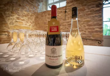 Château de Champ-Renard