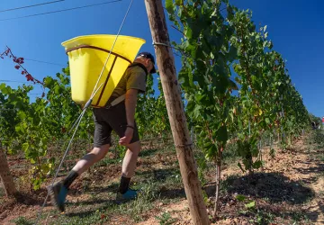 Château de Champ-Renard