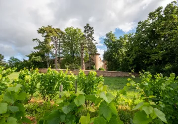 Château de Champ-Renard