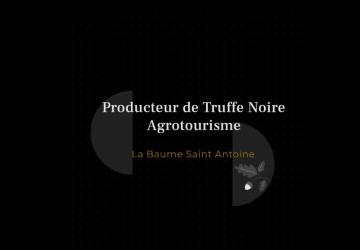 Pique-nique truffé au milieu des chênes- La Baume Saint Antoine_Romans-sur-Isère