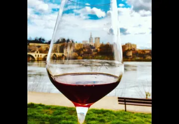 Avignon Gourmet Tours