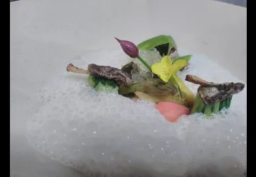 duo asperge