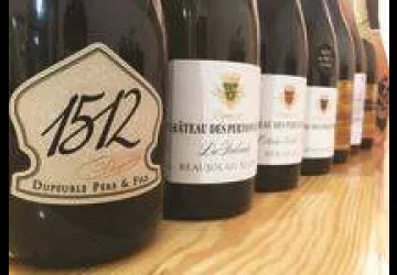 château des Pertonnières