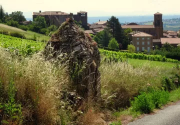 Balade à vélo - L'échappée belle