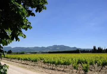 Domaine de l'Odylée