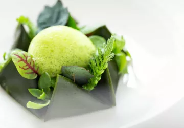 Verdeur Fondante - Les Berlingots©ASP