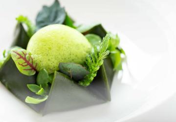 Verdeur Fondante - Les Berlingots©ASP