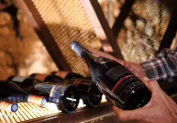 Néovinum à l'Aven d'Orgnac