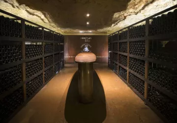 Néovinum à l'Aven d'Orgnac