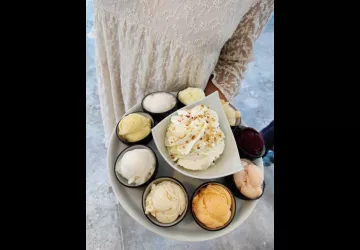 Terre adélice - Salon glacier Le Moulinon