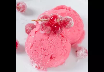 Terre adélice - Salon glacier Le Moulinon