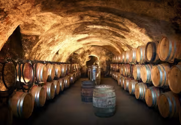Wine and Ride Condrieu_Condrieu